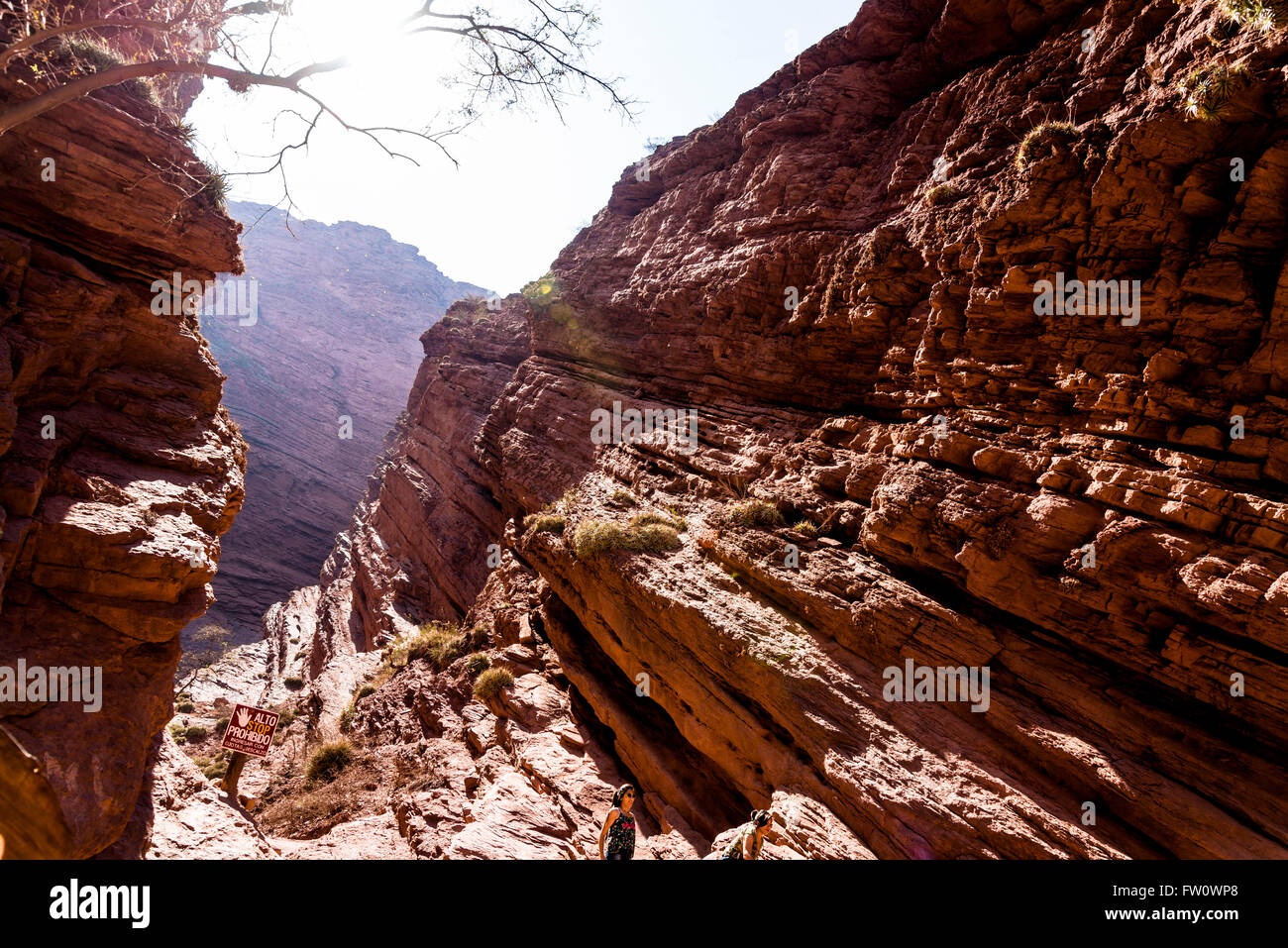 La Gorge du Diable, Garganta del Diablo, la Quebrada de las Conchas, Salta, Argentine Banque D'Images