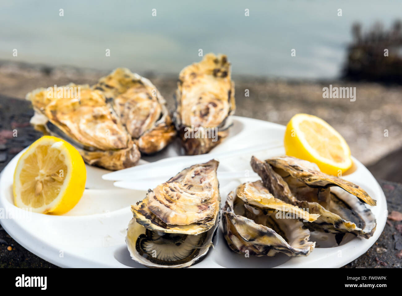 Une demi-douzaine d'huîtres avec un citron sur une plaque en plastique de manger à l'extérieur près de la mer Banque D'Images