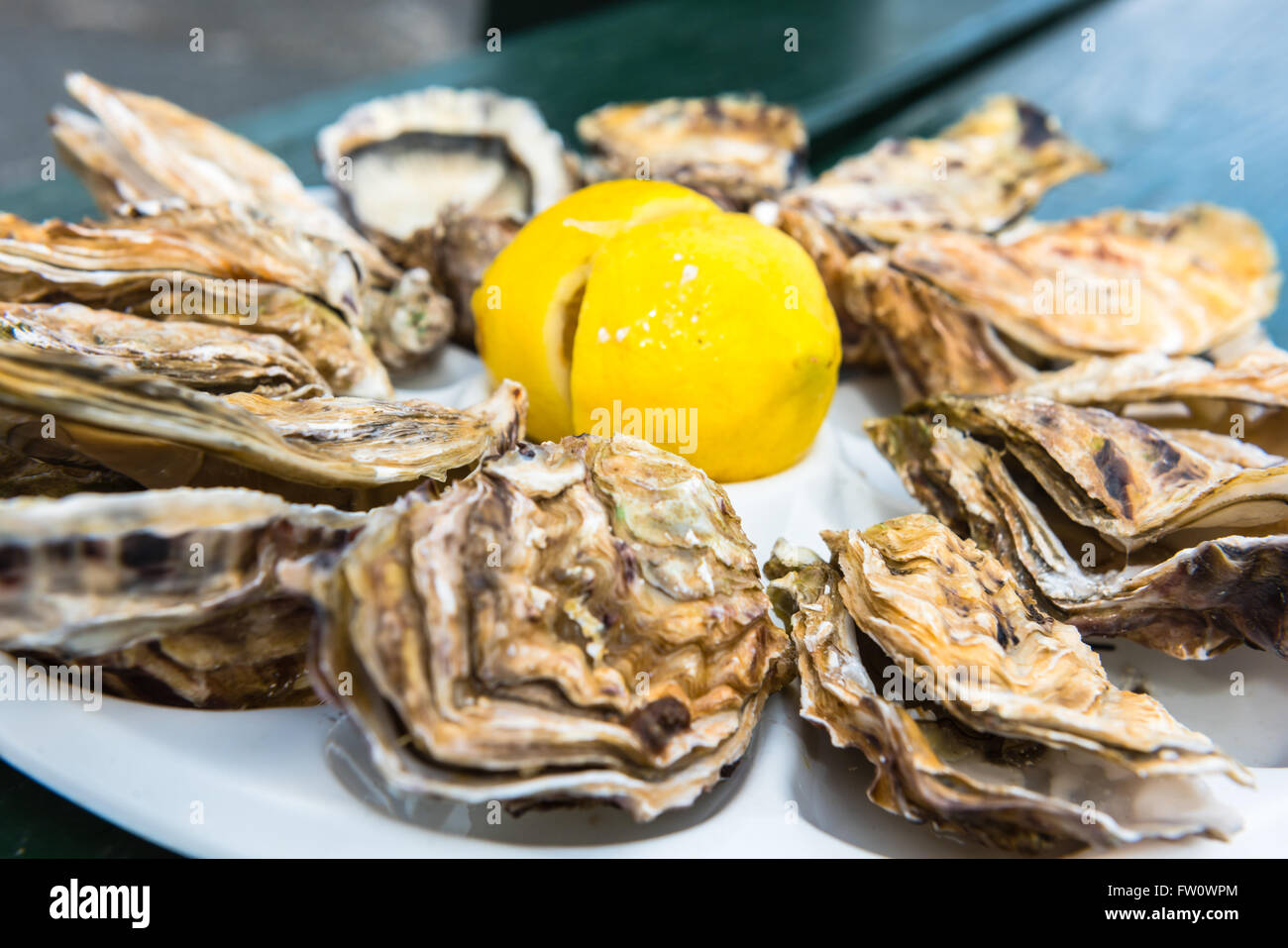 Une douzaine d'huîtres et un citron sur une plaque en plastique de manger à l'extérieur près de la mer Banque D'Images