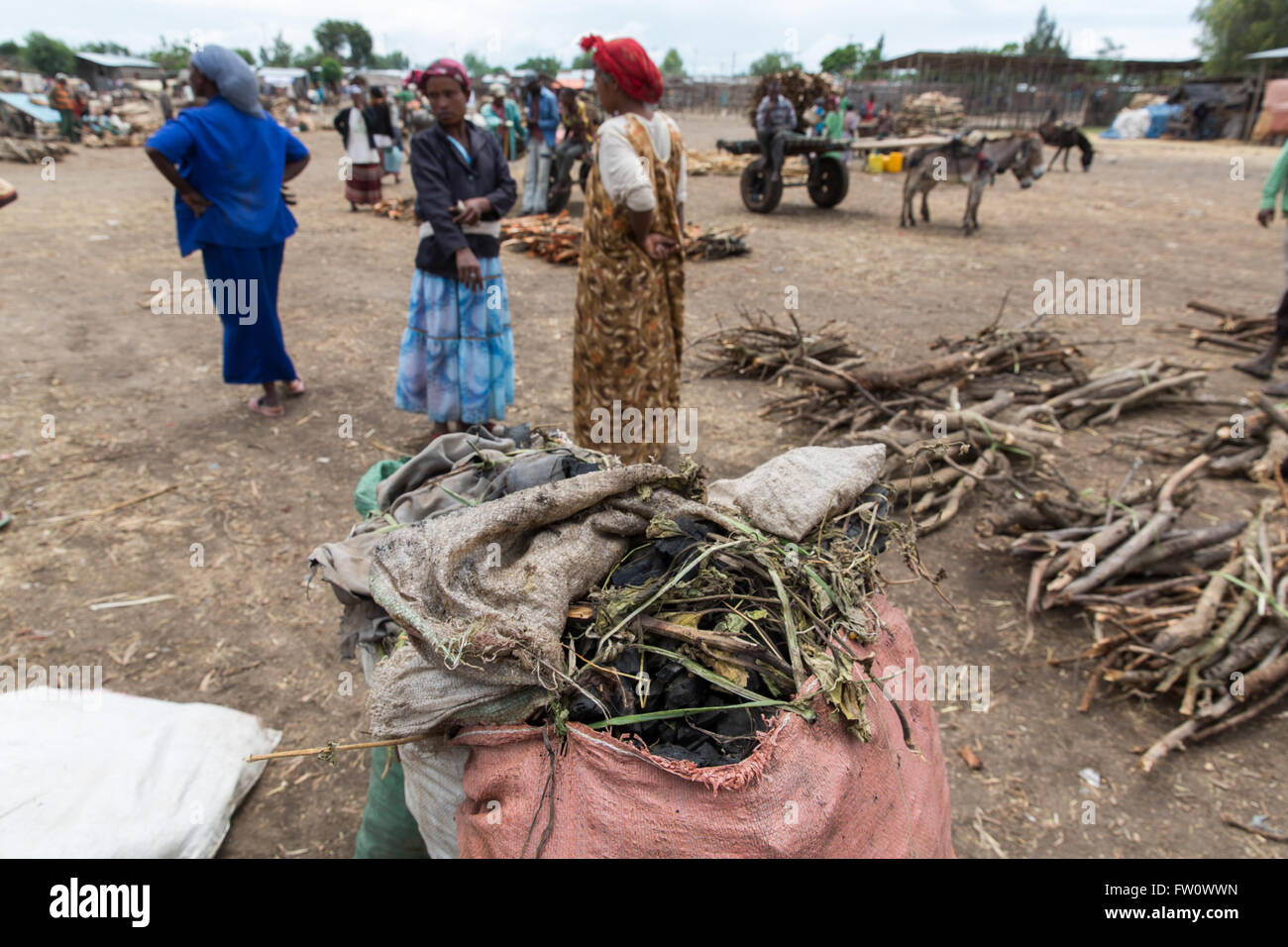 Meki Town Market, l'Éthiopie, Octobre 2013 : charbon en vente sur le marché. Banque D'Images