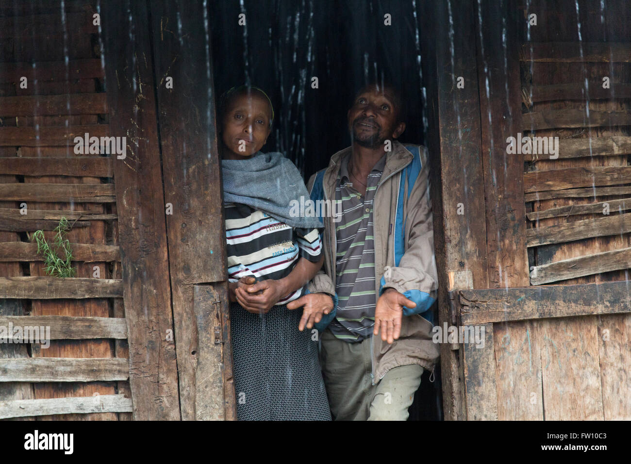 L'Éthiopie, Gurage, octobre 2013 Tedela Asfew, 48, et sa femme Lekelish Maregn, 35. Ils leurs animaux dans leur maison. Banque D'Images