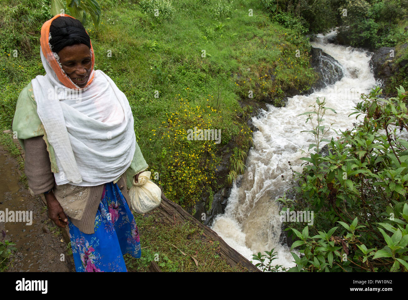 Muhe Gurage, village, l'Éthiopie, Octobre 2013 : une femme traverse un ruisseau à débit rapide sur un pont fait d'un tronc d'arbre de Juniper. Photographie par Mike Goldwater Banque D'Images