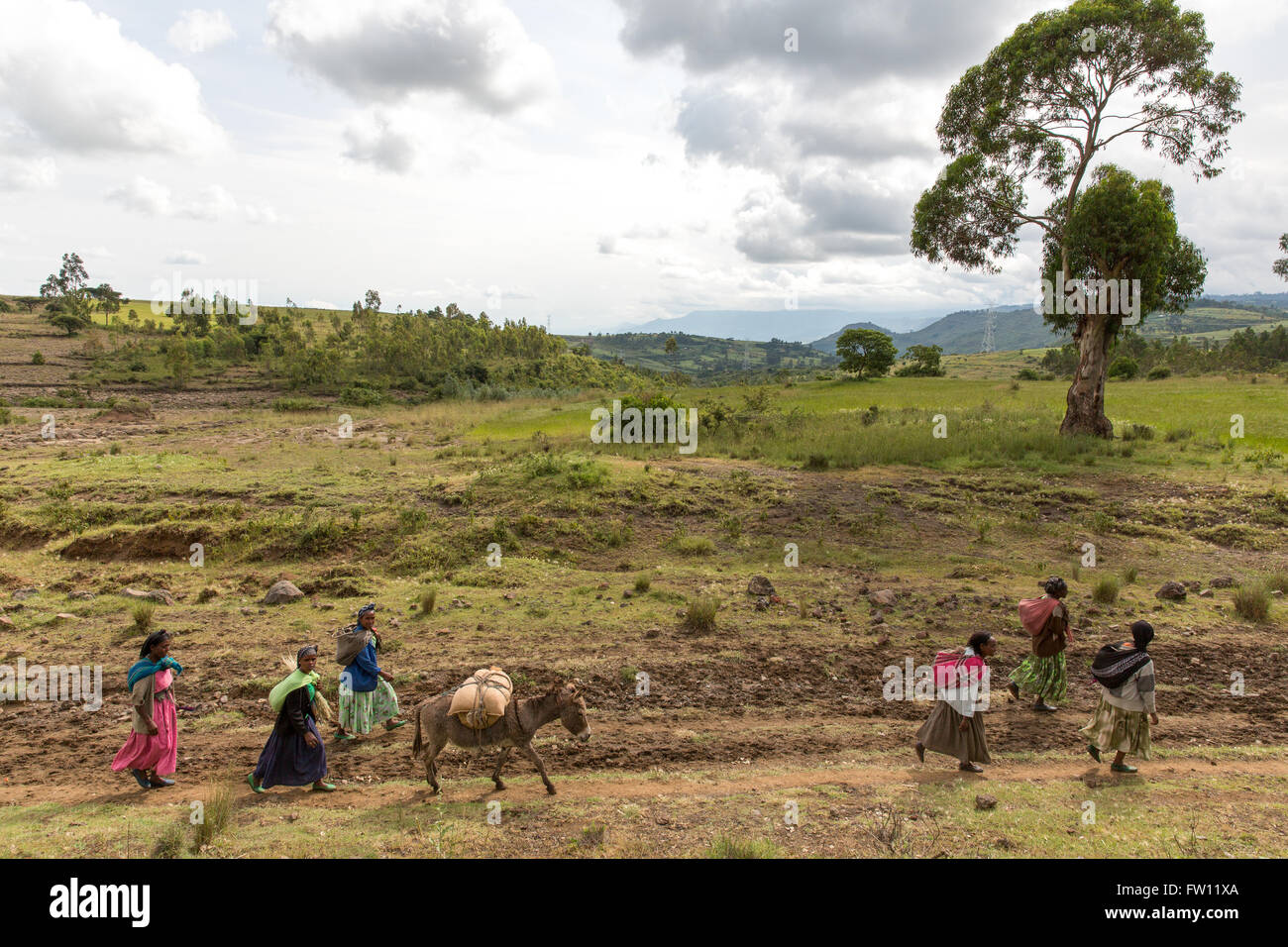 West Shewa, Oromia, en Éthiopie, en octobre 2013 Les gens qui vont à la maison de Suten marché du village. Banque D'Images