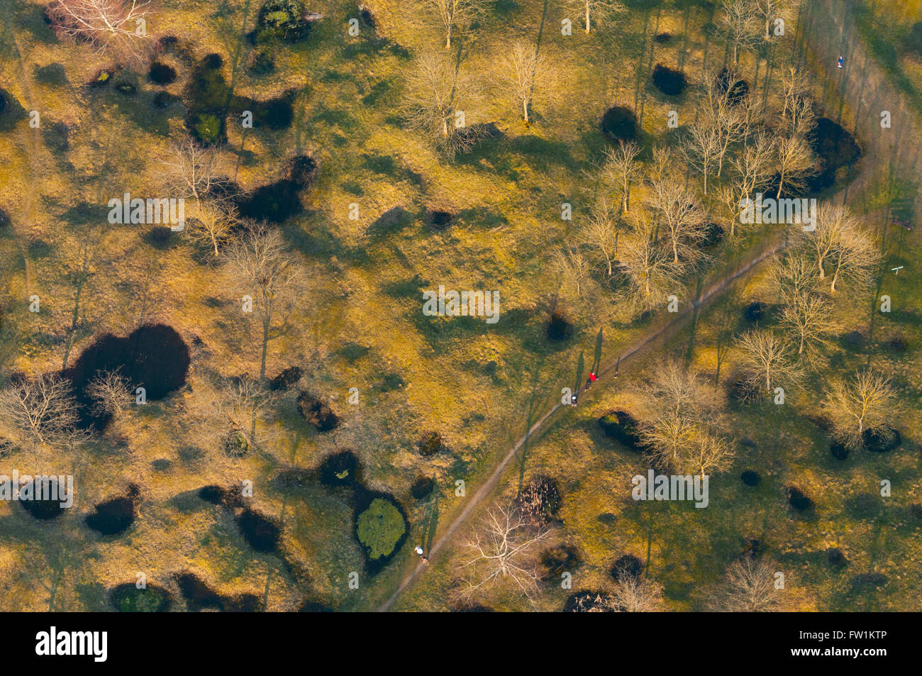 Meuse (55), Verdun, champs de batailles de la 1ere Guerre mondiale, anciens crateres d'obus prés de l'ouvrage de Thiaumont s (vue Banque D'Images