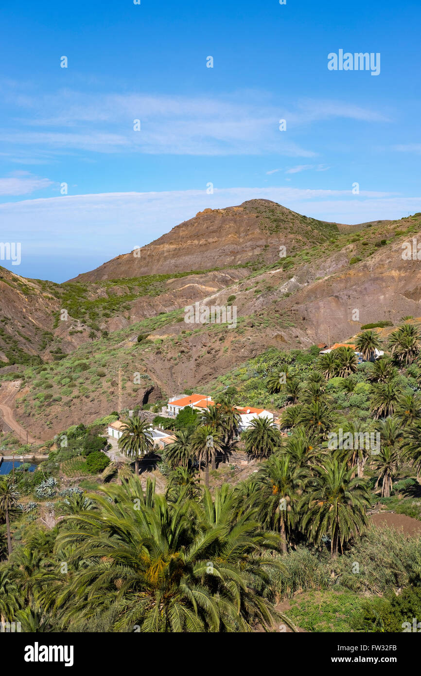 Tazo Village avec Île des dattiers (Phoenix canariensis) dans la région de Vallehermoso, La Gomera, Canary Islands, Spain Banque D'Images