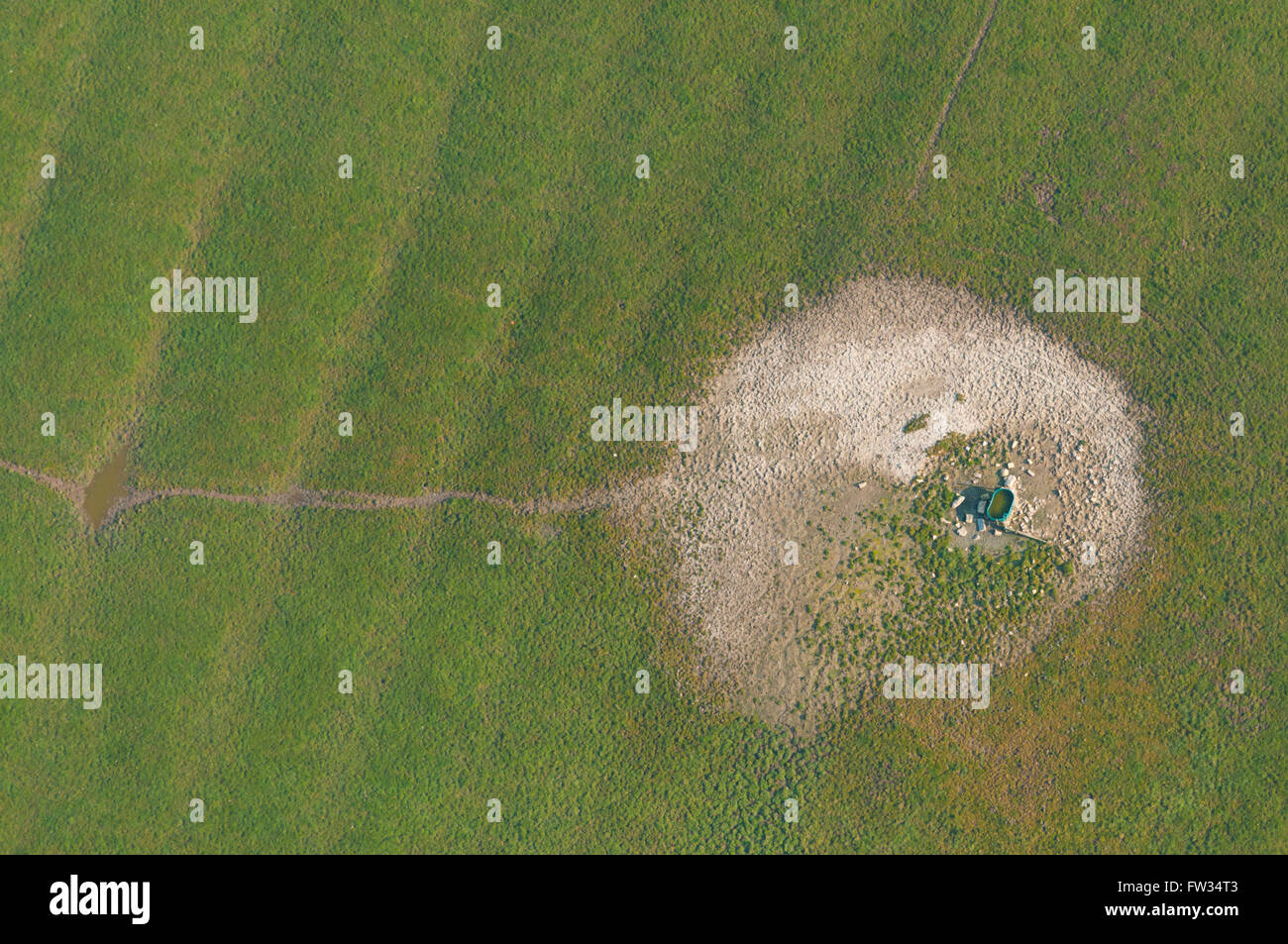 Meuse (55), Arrancy, trace d'un cratère d'obus de la première guerre mondiale (vue aerienne) // France, Meuse (55), Azannes, WWI Banque D'Images