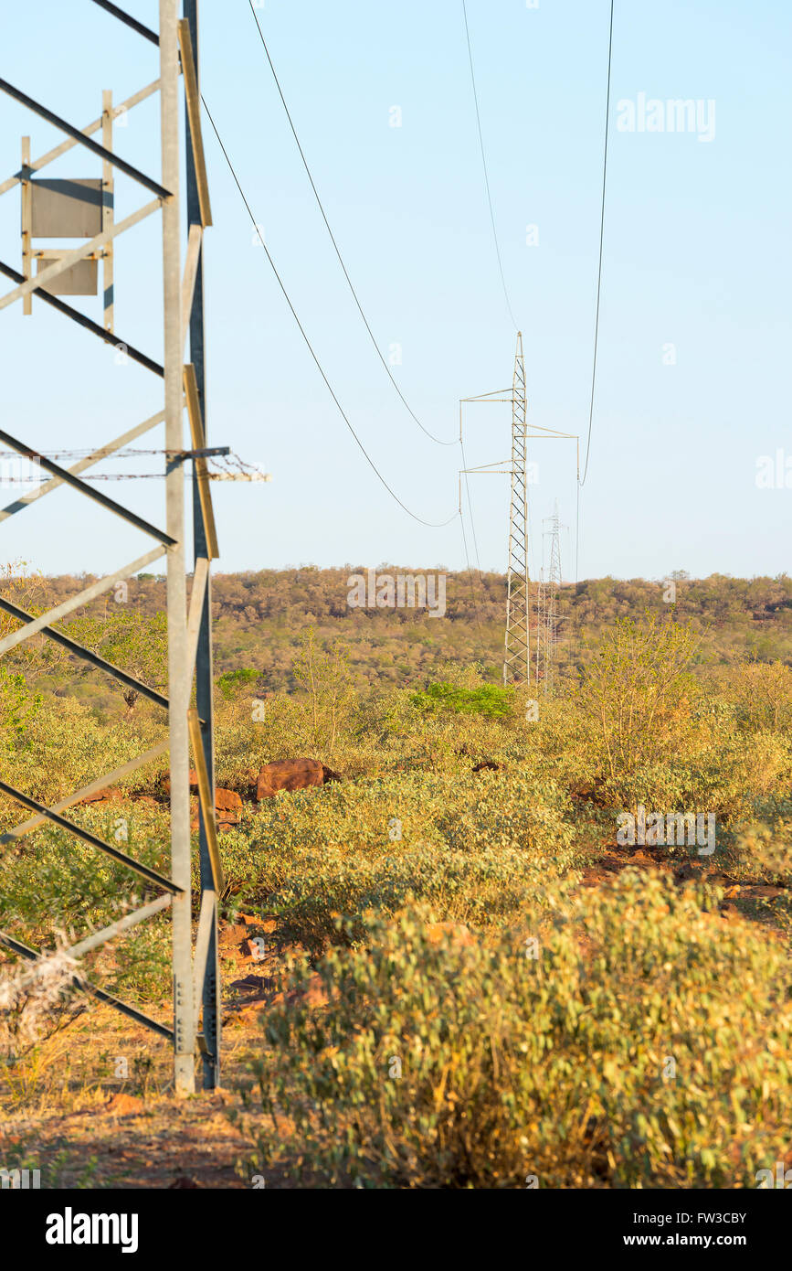 Les grandes lignes à haute tension qui traverse la brousse au Botswana,  l'Afrique Photo Stock - Alamy
