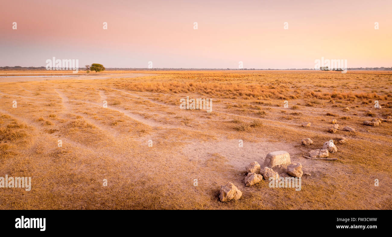 Lever du soleil sur le pittoresque paysage de plaines africaines au Botswana Banque D'Images