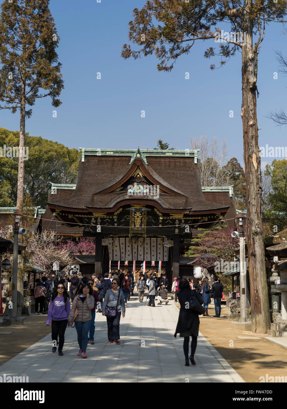 Kitano Tenmangu Shrine, Kyoto - bien connu pour ses fleurs de prunier au début de mars. Banque D'Images