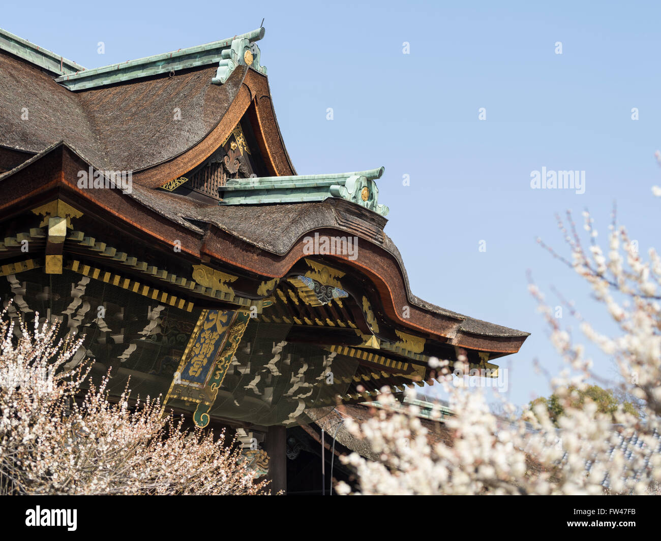 Kitano Tenmangu Shrine, Kyoto - bien connu pour ses fleurs de prunier au début de mars. Banque D'Images