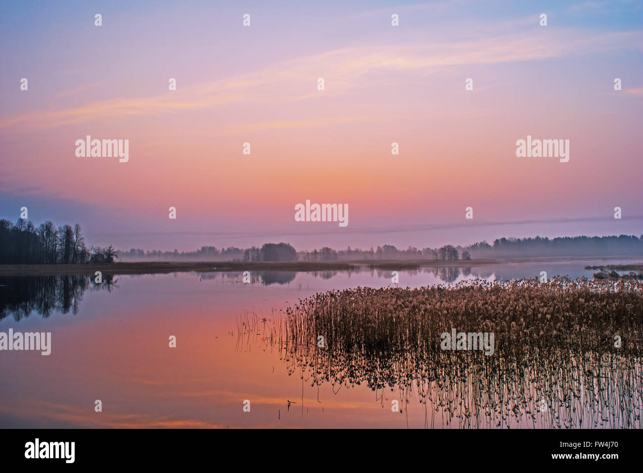 Brouillard sur le lac mystérieux Banque D'Images