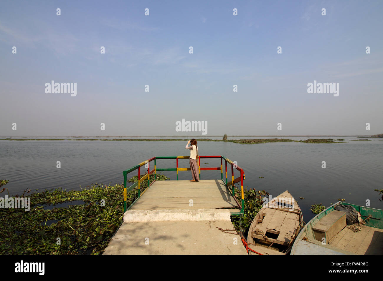 Une femme occidentale syndicat watches wildfowl si jumelles à terres humides Harike dans l'état indien du Pendjab Banque D'Images