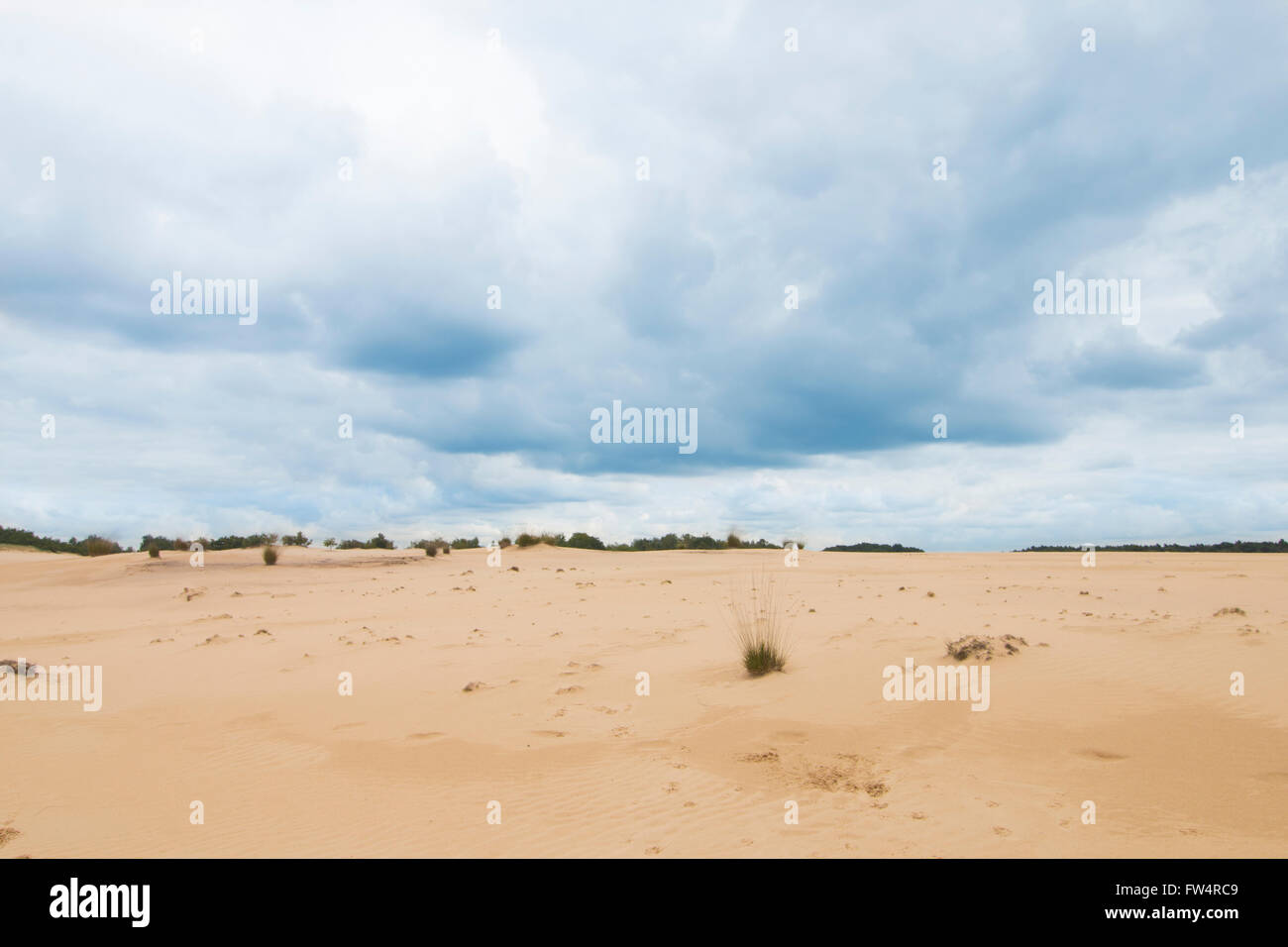 Ciel nuageux Ciel bleu au-dessus de dunes de sable de couleur camel Banque D'Images