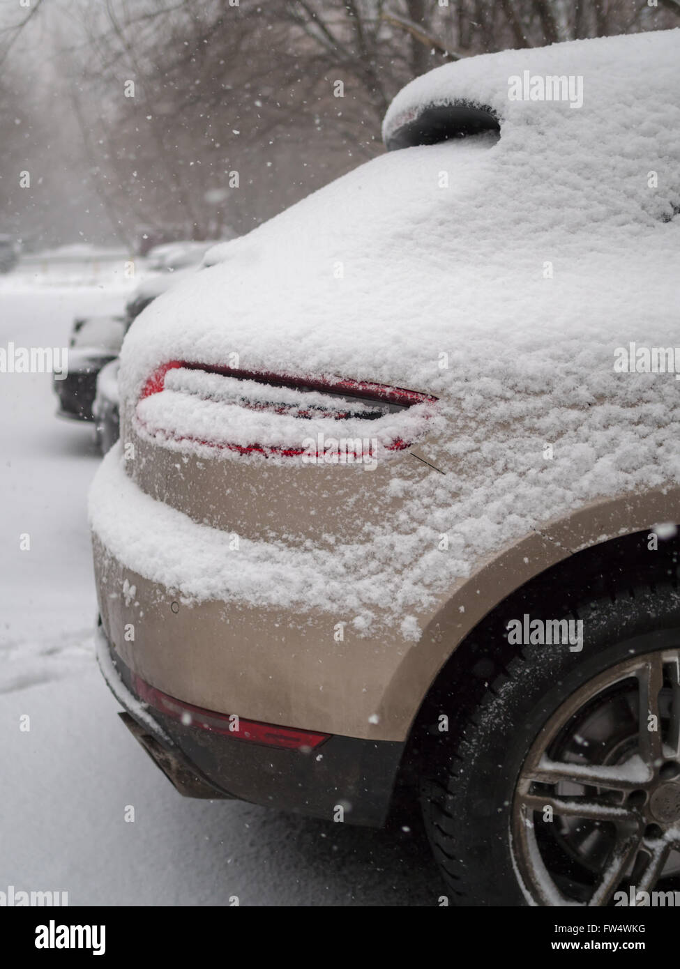 Voitures couvertes de neige pendant la tempête, faible profondeur de champ Banque D'Images