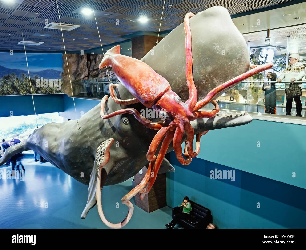Moscou, Russie - Février 06, 2016 : Moskvarium l'océanographie et de biologie marine au centre des expositions VDNKh de Moscou Banque D'Images