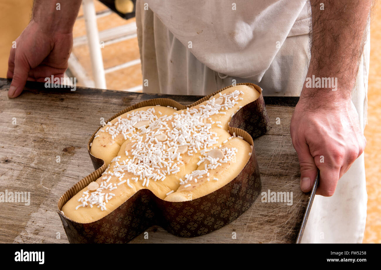 Baker à propos de placer une colombe de Pâques traditionnel italien en forme de gâteau dans le four colomba, Close up de ses mains Banque D'Images