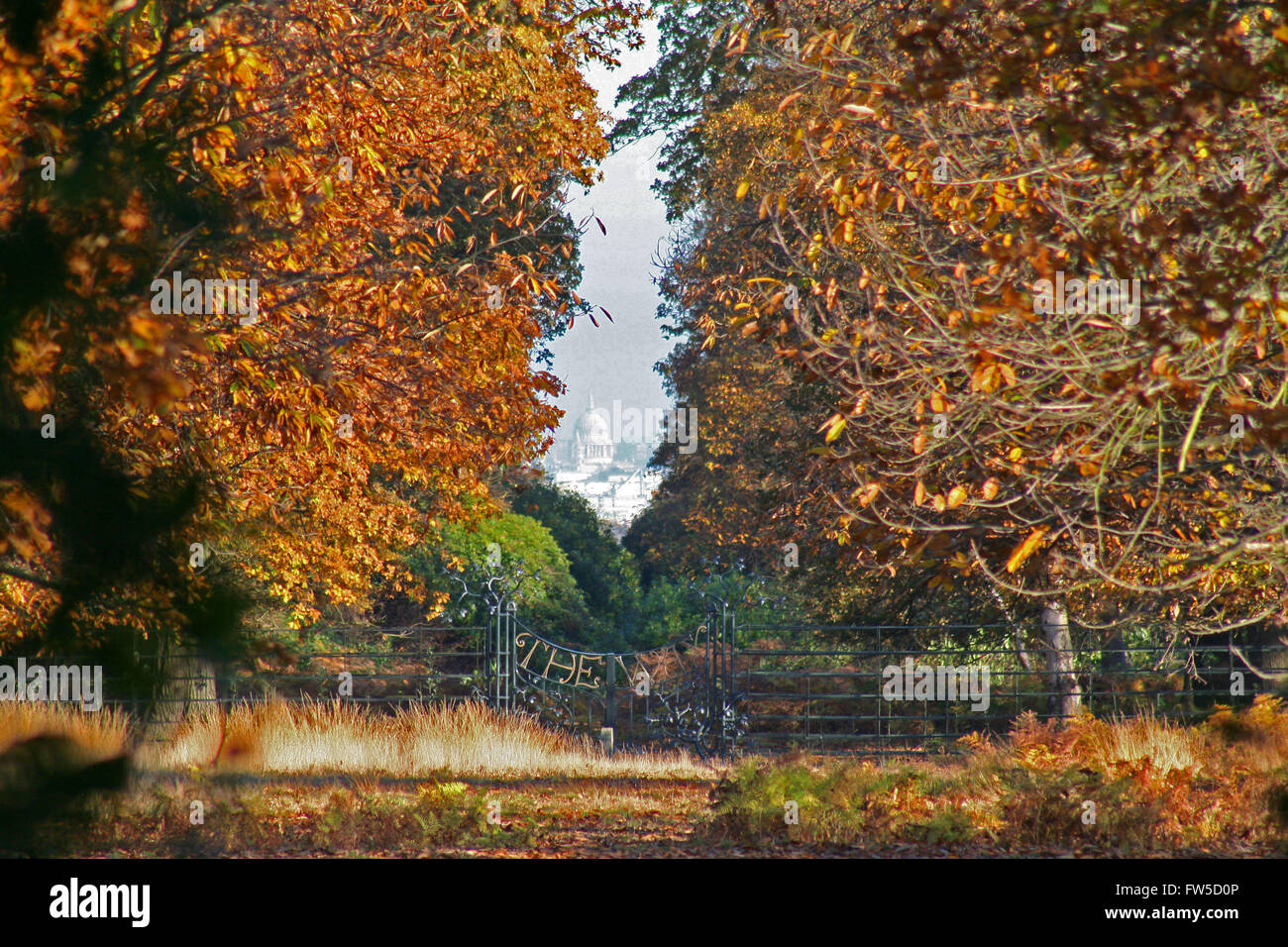 La vue de King Henry's mound à Richmond Park Londres Banque D'Images