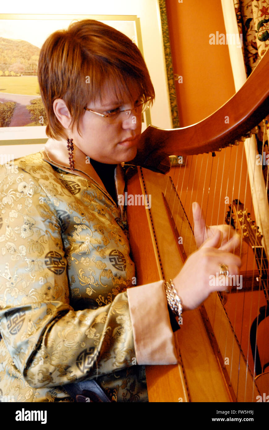Harpe irlandaise - clairseach, harpe celtique, a joué dans l'hôtel restaurant, Co Antrim, en Irlande du Nord Banque D'Images