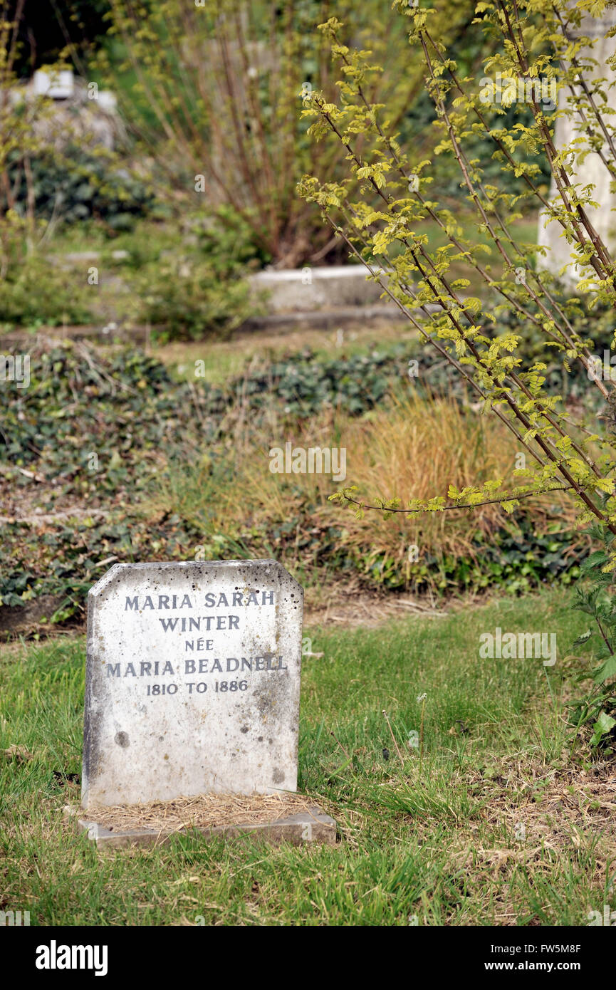 La tombe dans le cimetière Highland Road, Southsea, Portsmouth, de Maria Sarah Winter, née Maria Beadnell, 1810-1886, le premier amour de l'écrivain Charles Dickens à partir de 1830. Il écrit ses premiers vers dans son album. Il a trouvé son 'bon natured mais affreusement ridicule' lorsqu'il a visité à nouveau plus tard dans la vie. Elle est devenue dans beaucoup de ses idéalisée des caractères, tels que Dora, la femme de David Copperfield. Banque D'Images