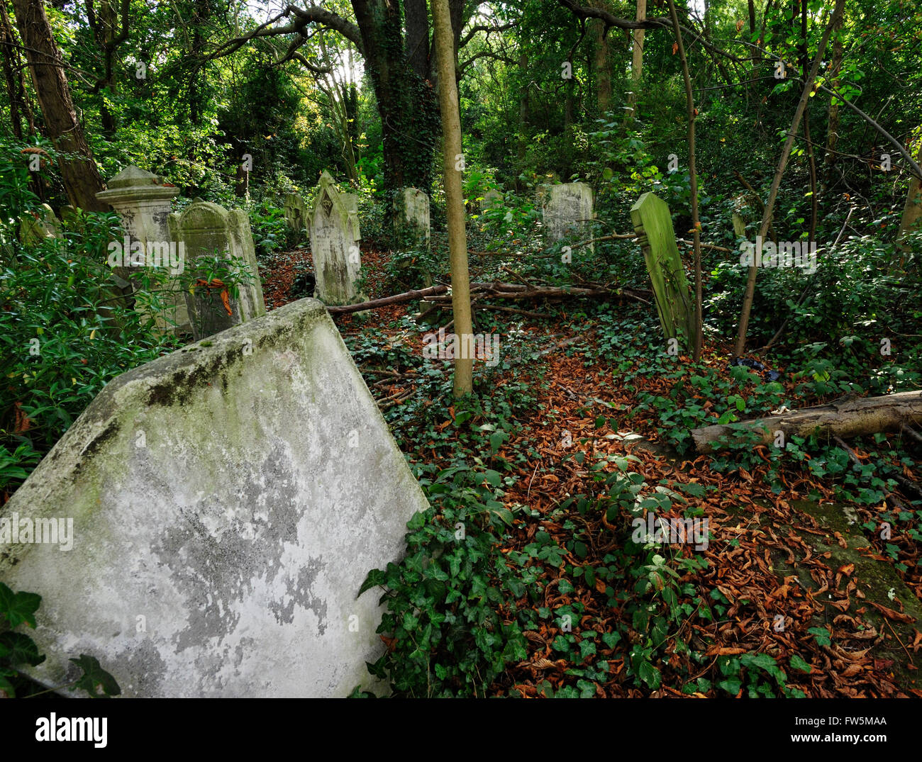 Tombes négligées dans les bois : Nunhead Cemetery, Peckham, Londres. Romancier anglais Charles Dickens vivait avec Ellen Ternan (Nelly), l'amour de ses dernières années, presque en face de Linden Grove. Par la réputation qu'ils ont un fils qui sont morts âgés de 4 ans, dont la tombe n'a jamais été trouvé. Il pourrait avoir été dans Nunhead, si ce n'est pas à Paris ou ailleurs. Banque D'Images
