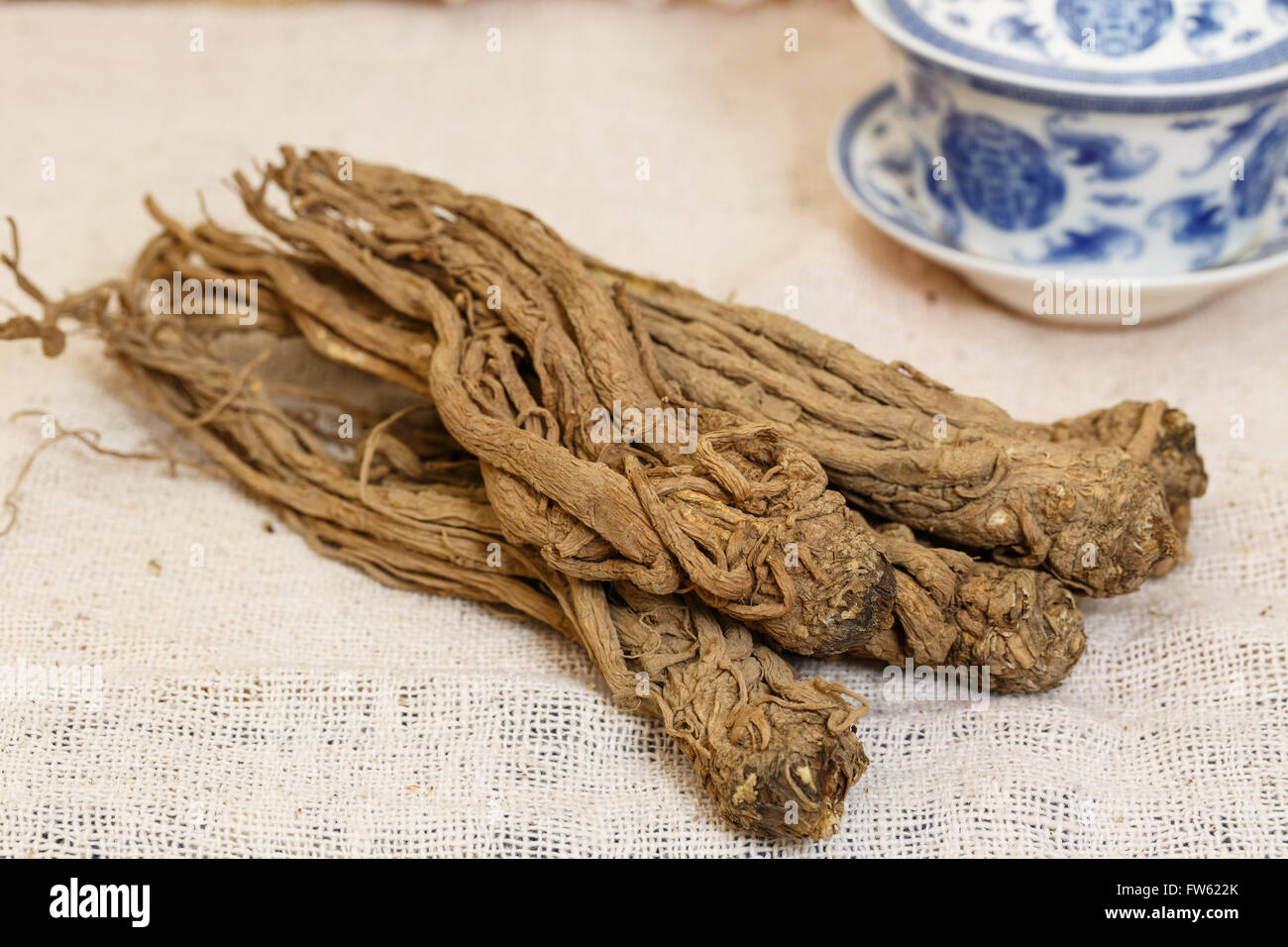 La médecine chinoise， ,herbes nourrissantes Chinses Angelica Banque D'Images
