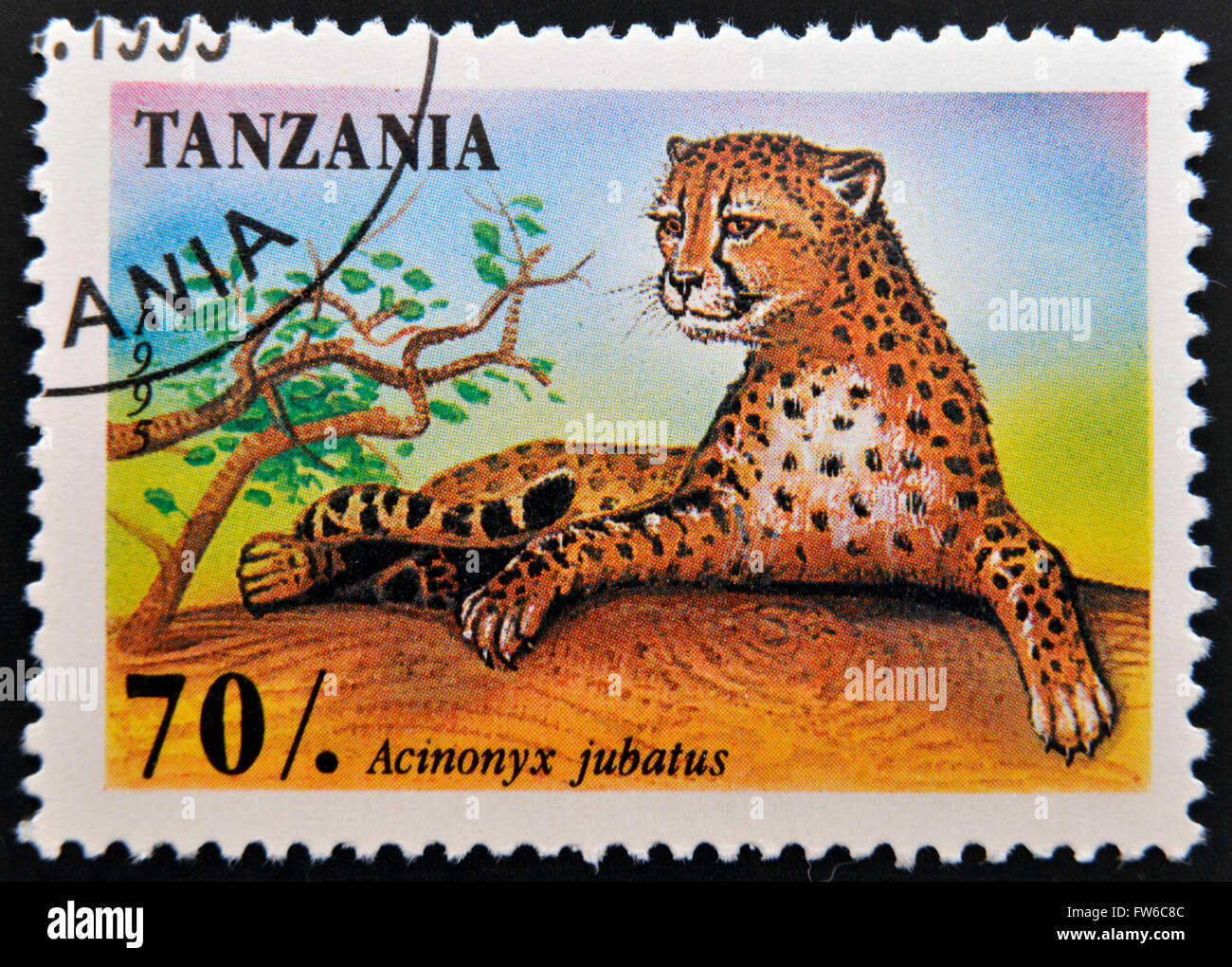 Tanzanie - circa 1995 : timbres en Tanzanie montre un animal d'Afrique - Leopard avec l'inscription 'Acinonyx jubatus', cria Banque D'Images