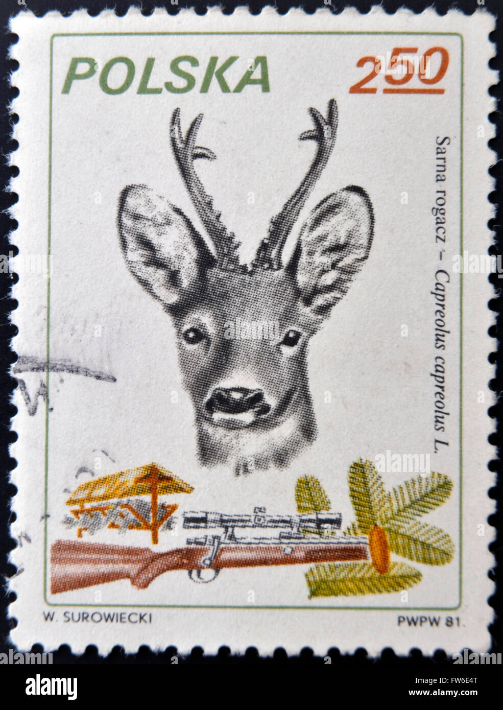 Pologne - circa 1981 : timbre imprimé en Pologne montre deer et fusil, vers 1981. Banque D'Images