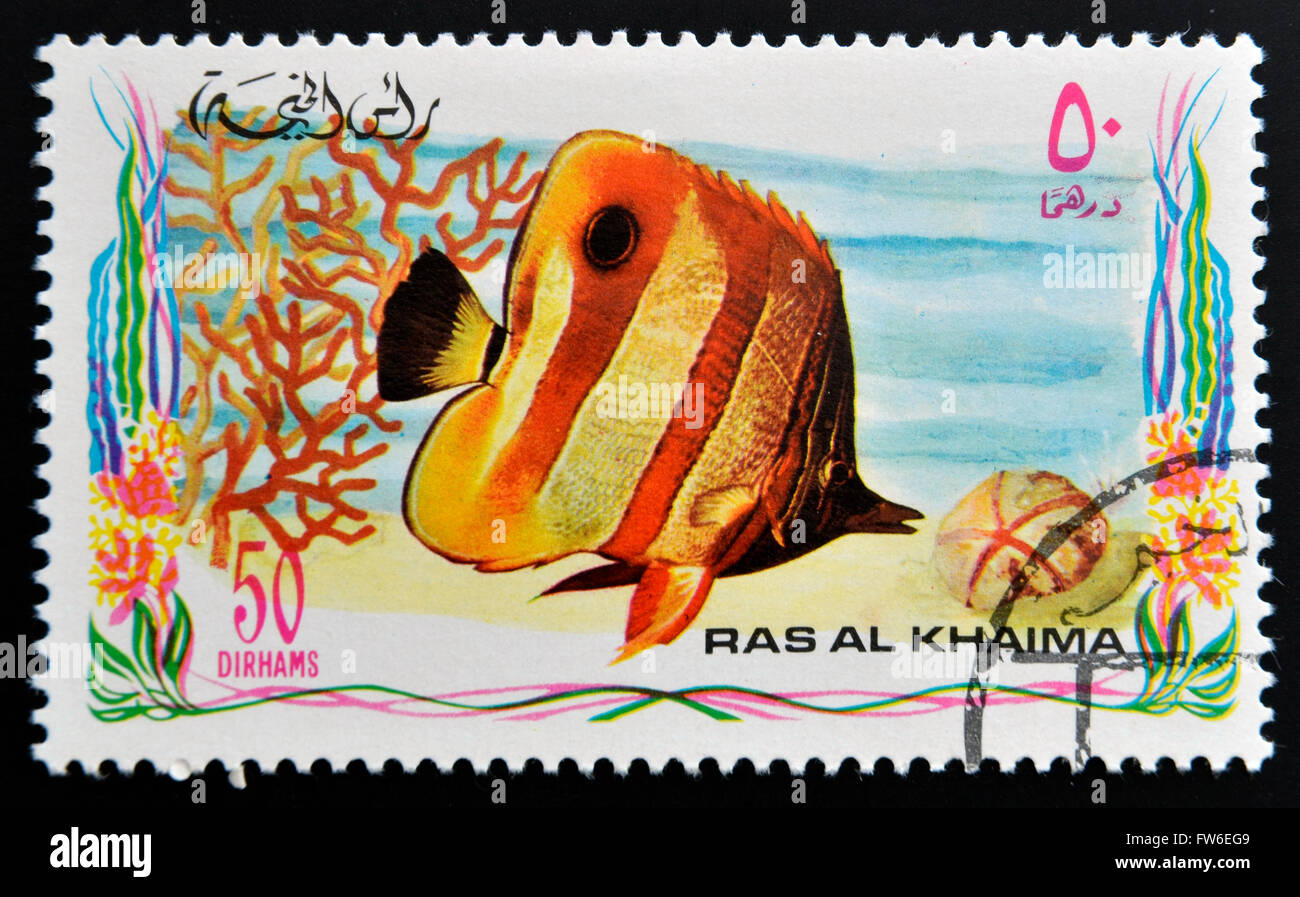 RAS AL-KHAIMAH - circa 2006 : timbre imprimé à Ras al-Khaimah montre un poisson, chelmon à bec médiocre (Chelmon Rostratus), vers Banque D'Images