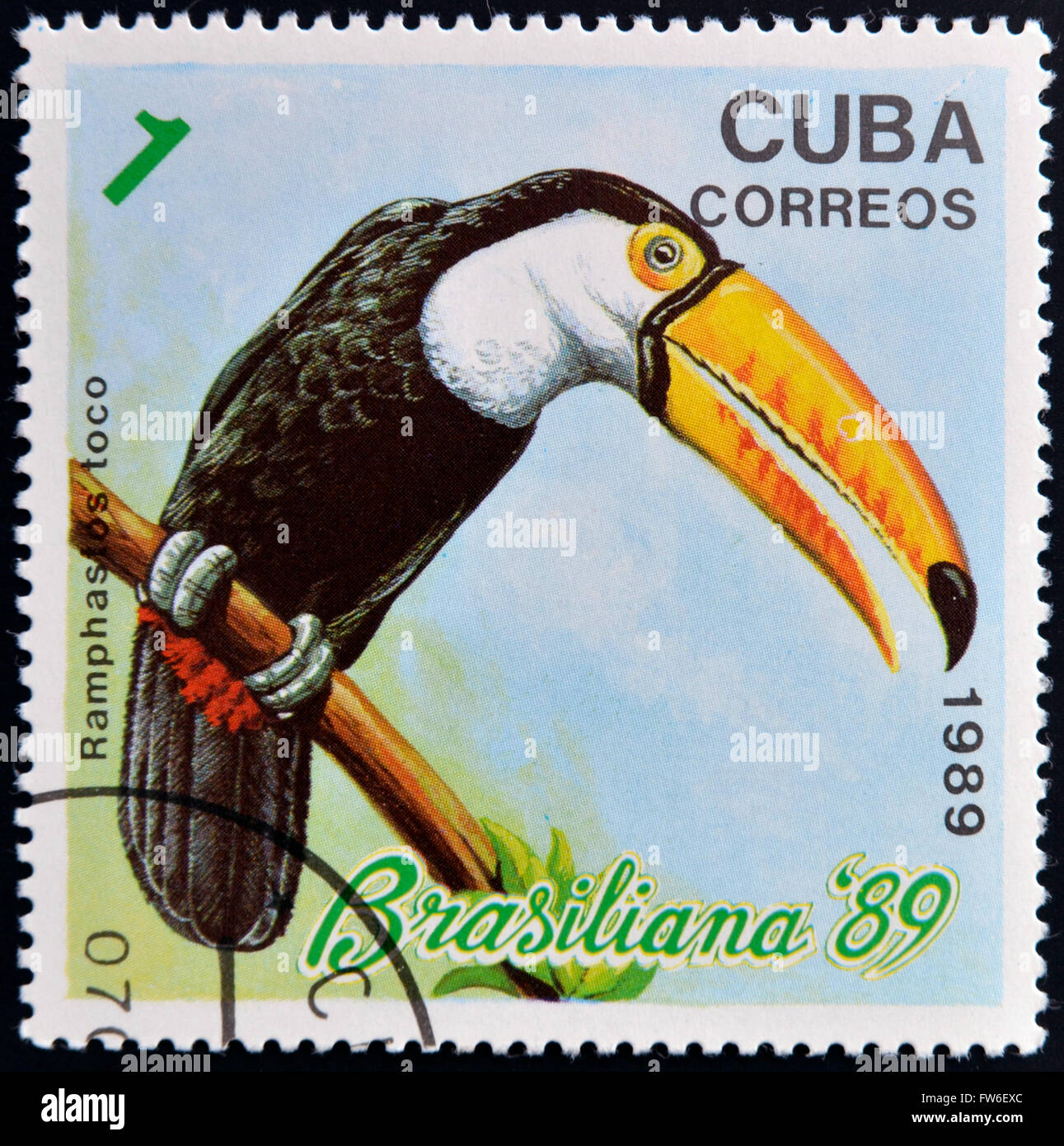 CUBA - circa 1989 : timbre imprimé dans la Cuba, montre l'oiseau exotique (Toucan toco ramphastos,), vers 1989 Banque D'Images