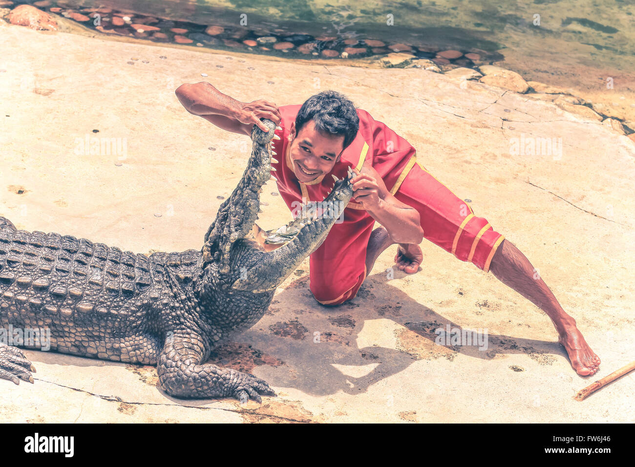 SAMUT PRAKAN, THAÏLANDE - 8 SEPTEMBRE : Le crocodile show à Samut Prakan ferme aux crocodiles et Zoo sur le 8 sep 2011 à Calgary. Banque D'Images