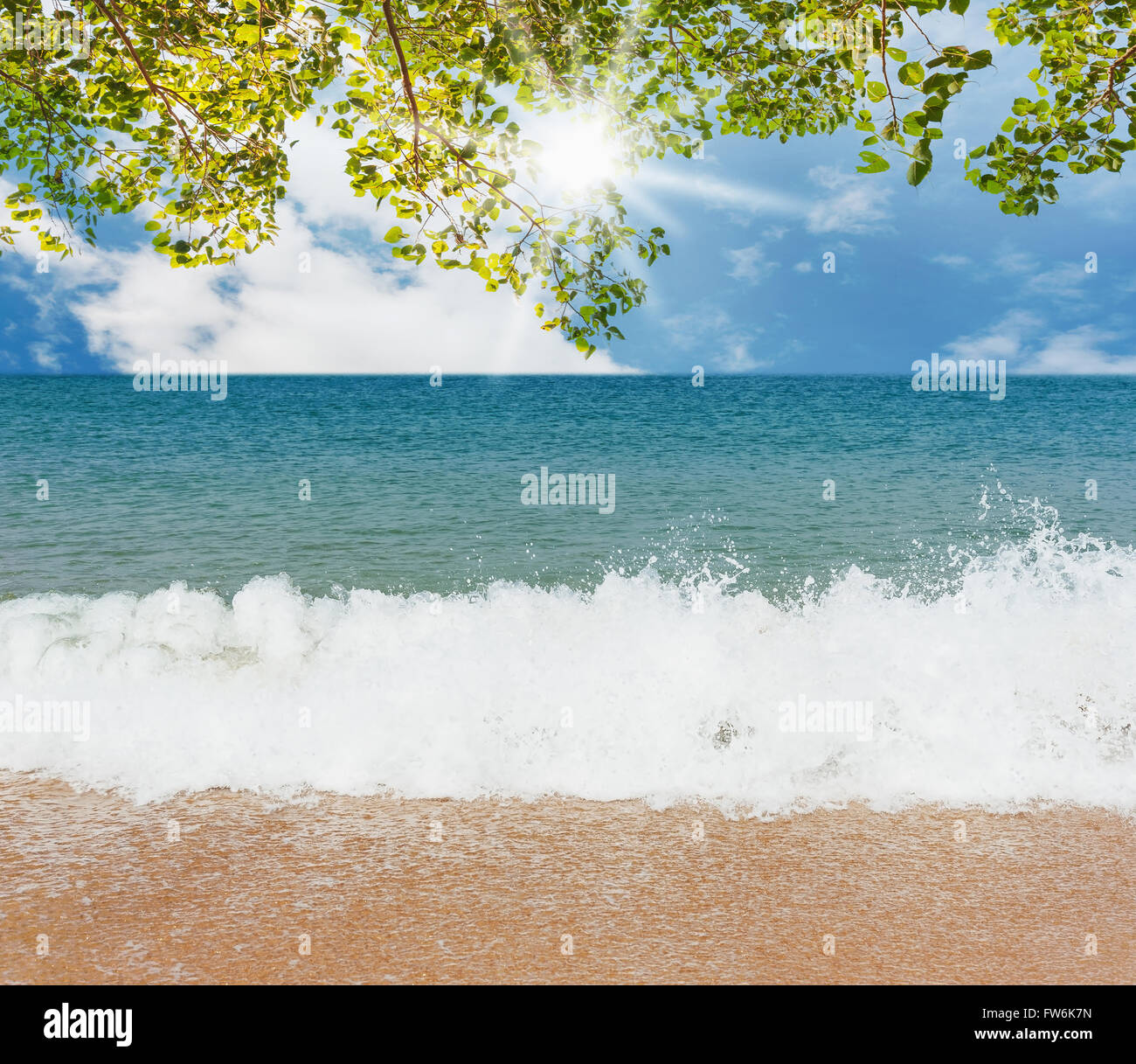 L'été et travel concept, mer bleue et vert feuille avec plage de sable blanc et le fond de ciel , peut être utilisé pour l'affichage ou un montage yo Banque D'Images