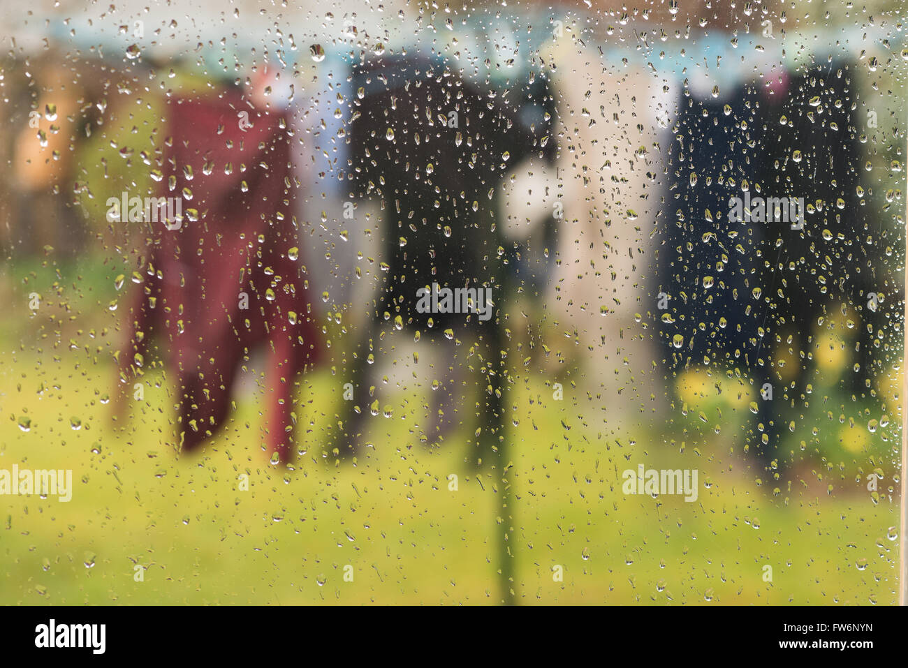 Mauvais timing lave à sécher sur les cheveux est trempé comme il gratuites pluie tombe pas détrempé mais le séchage des vêtements trempés mouillés Banque D'Images