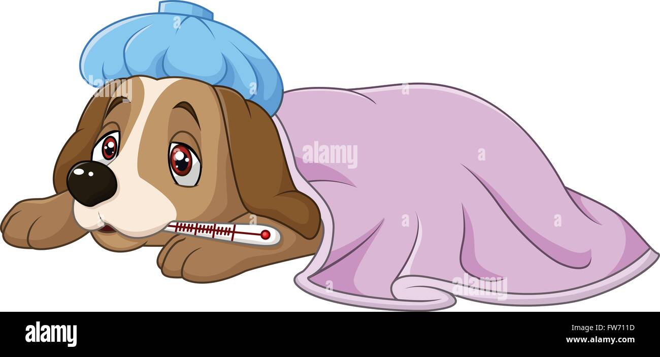 Caricature chien malade avec sac de glace et thermomètre , isolé sur fond blanc Illustration de Vecteur