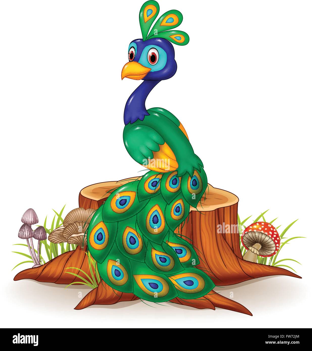 Cartoon funny peacock isolated on Banque de photographies et d'images à  haute résolution - Alamy