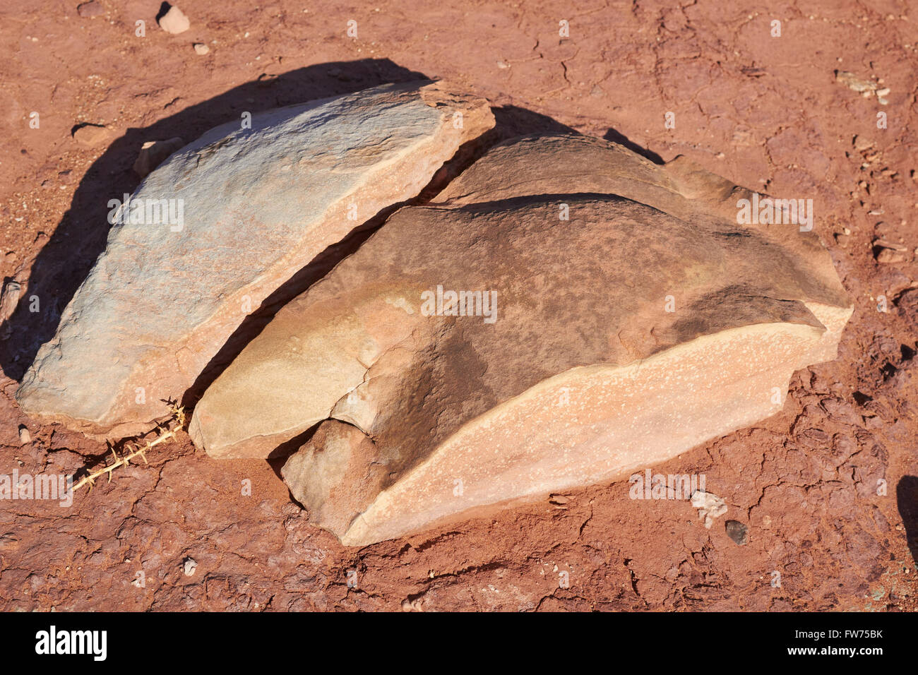 Dinosaure fossile dépôts fécaux, Navajo Nation, Tuba City, Arizona, USA Banque D'Images