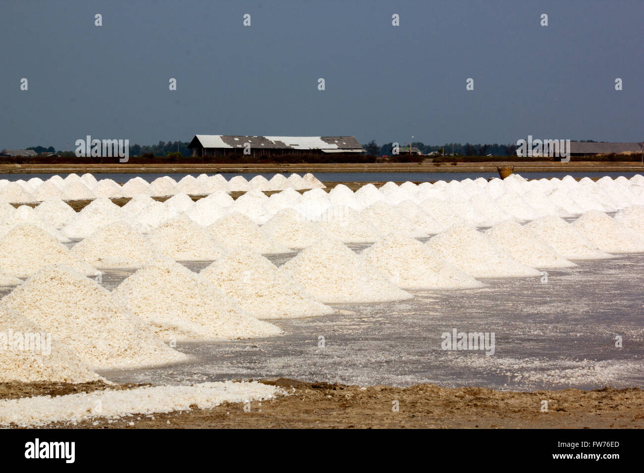 Réunir les tas de sel. La production de sel de manière naturelle par l'alimentation de la lumière du soleil Banque D'Images