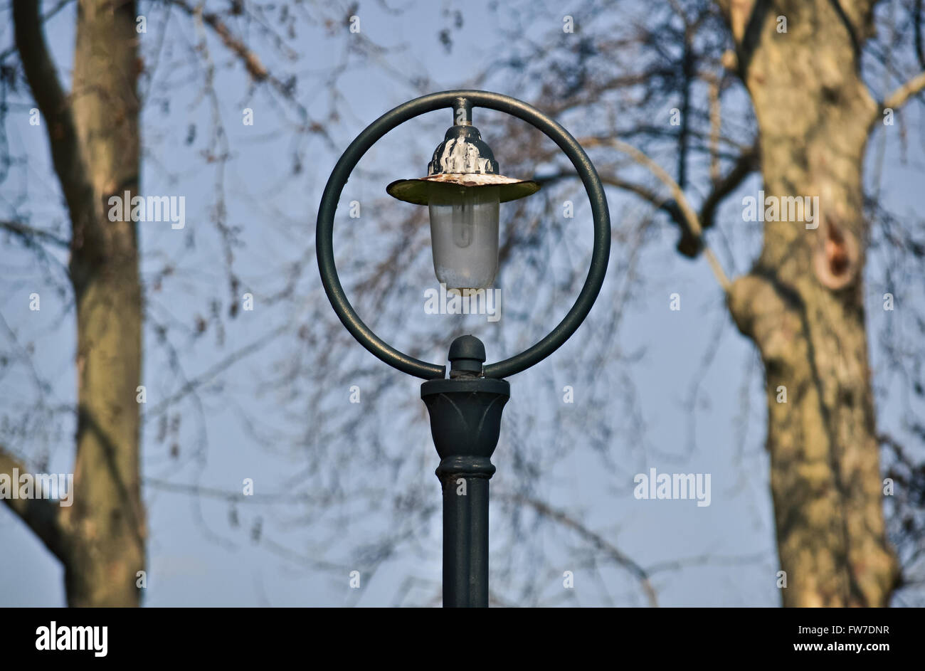 Composition symétrique avec une lampe de rue au milieu et deux arbres Banque D'Images
