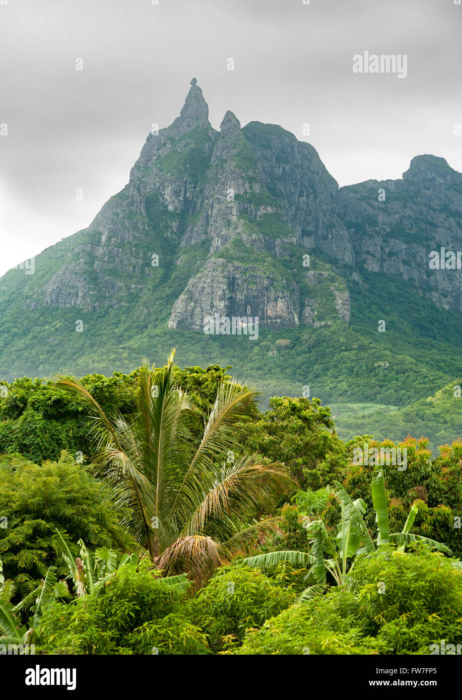 Le pouce (le pouce) pic de montagne et la végétation environnante à l'Ile Maurice. Banque D'Images