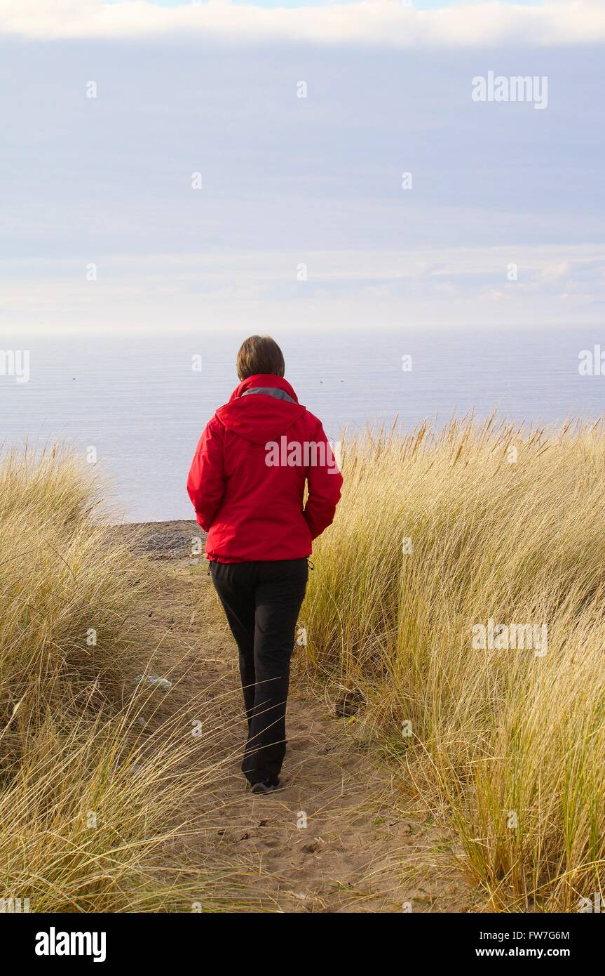 Femme seule à pied de la plage par l'ammophile. Allonby, Cumbria, Angleterre, Royaume-Uni, Europe. Banque D'Images