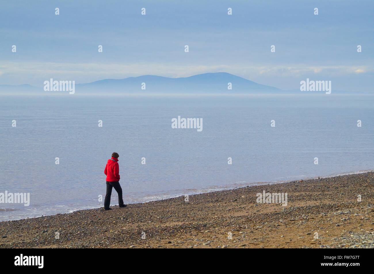 Lonely Woman walking on beach avec Criffel à distance. Allonby, Cumbria, Angleterre, Royaume-Uni, Europe. Banque D'Images