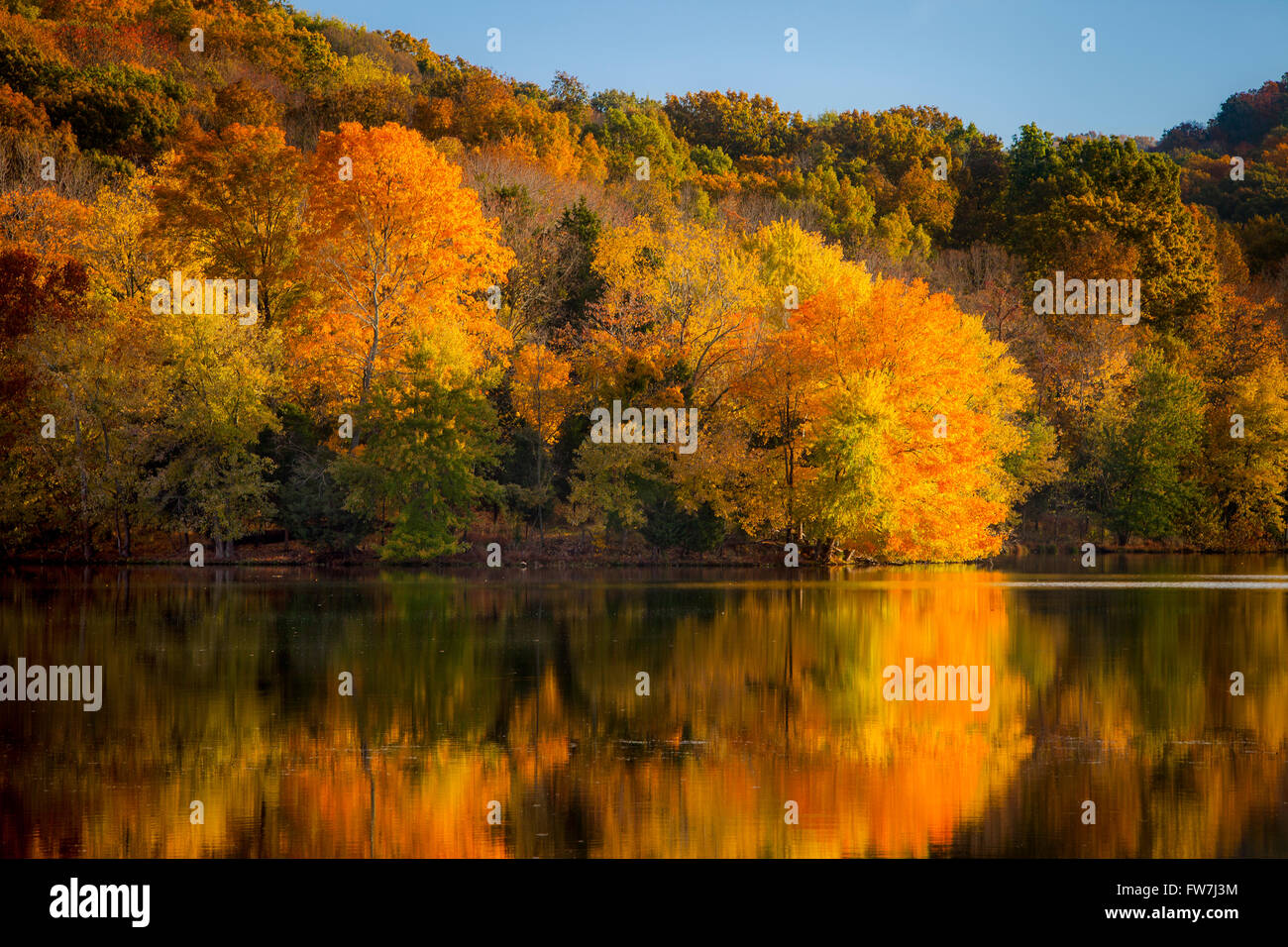 La couleur en automne à Radnor Lake, Nashville, Tennessee, USA Banque D'Images