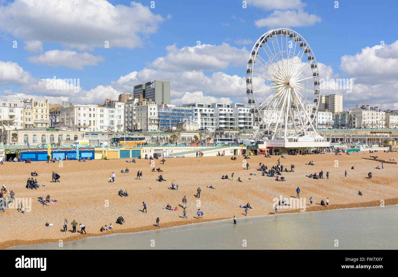 La plage de Brighton et roue de Brighton sur le front de mer de Brighton sur une journée ensoleillée au début du printemps, à Brighton, East Sussex, Angleterre, Royaume-Uni. Banque D'Images