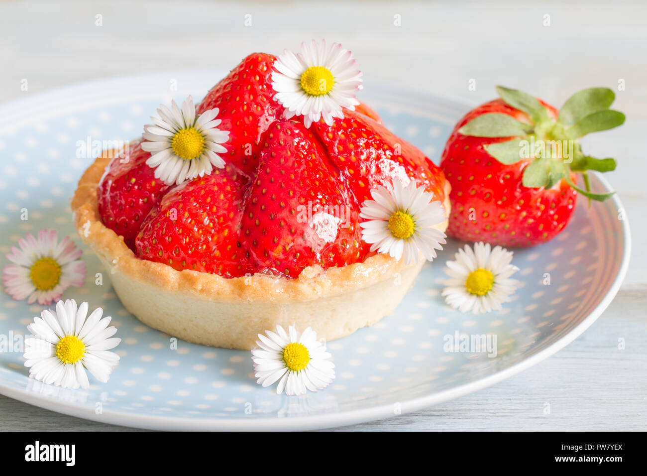 Gâteau aux fraises dessert avec spring daisy closeup Banque D'Images