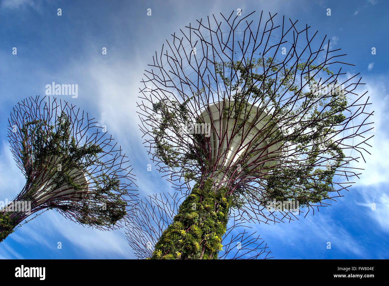 Gardens By The Bay Super Arbres Banque D'Images