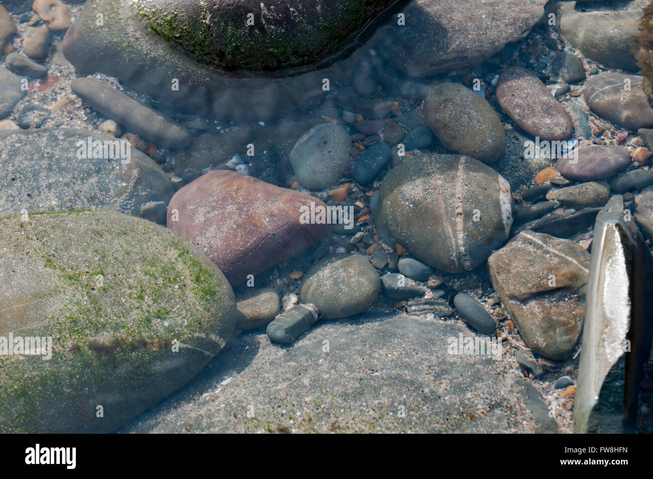 Variété de cailloux dans une piscine peu profonde rock Banque D'Images
