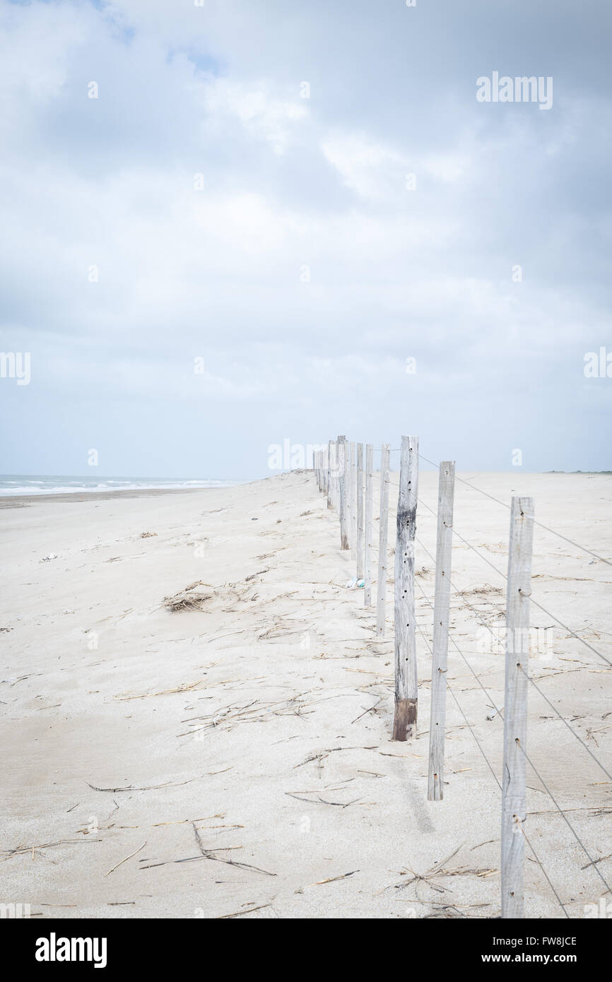 Dans une plage de lonely Banque D'Images