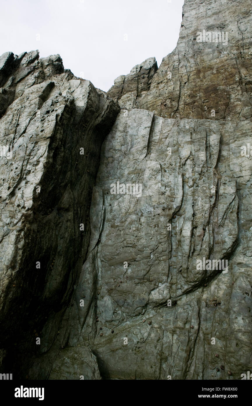 En plaques de l'ardoise comme rock sur une plage sur la côte nord du Devon au Royaume-Uni. La roche se présente comme il brille dans la lumière d'un gris terne et a été édifiés sur des millions d'années pour que la strat est presque vertical au lieu d'être horizontal, comme il aurait été quand la roche s'est formée. Banque D'Images