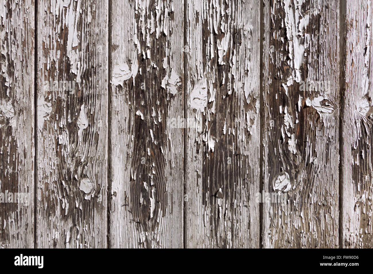 Peinture gris clair s'écaille sur un vieux mur conseil de planches de bois verticales brun. Prises en gros plan. Banque D'Images