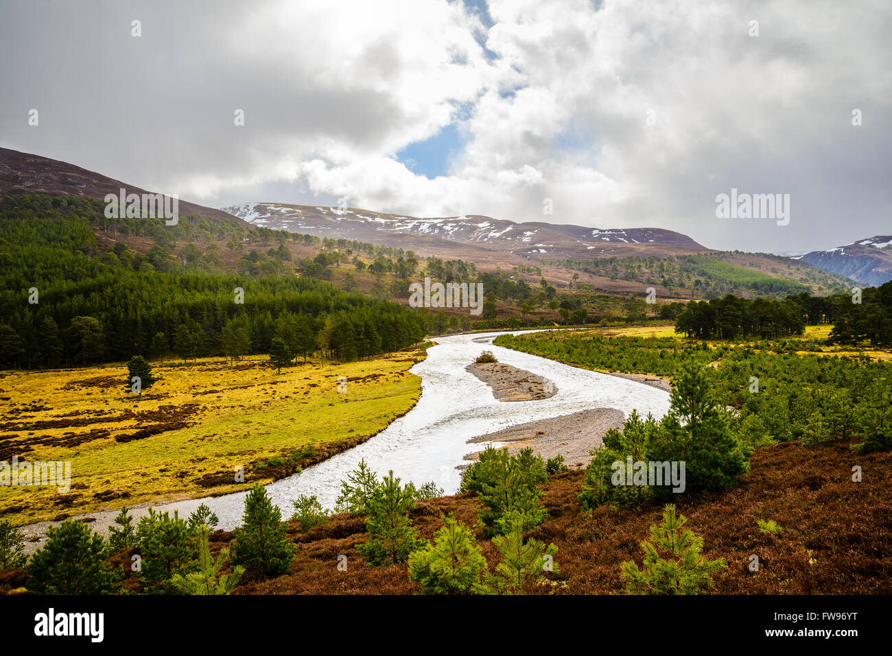 Voir sur la rivière Feshie Glen Feshie dans le Parc National de Cairngorms Highland Ecosse Banque D'Images