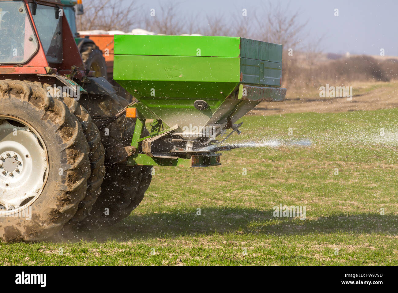 Agriculteur en fertilisation du tracteur champ de blé au printemps avec npk Banque D'Images